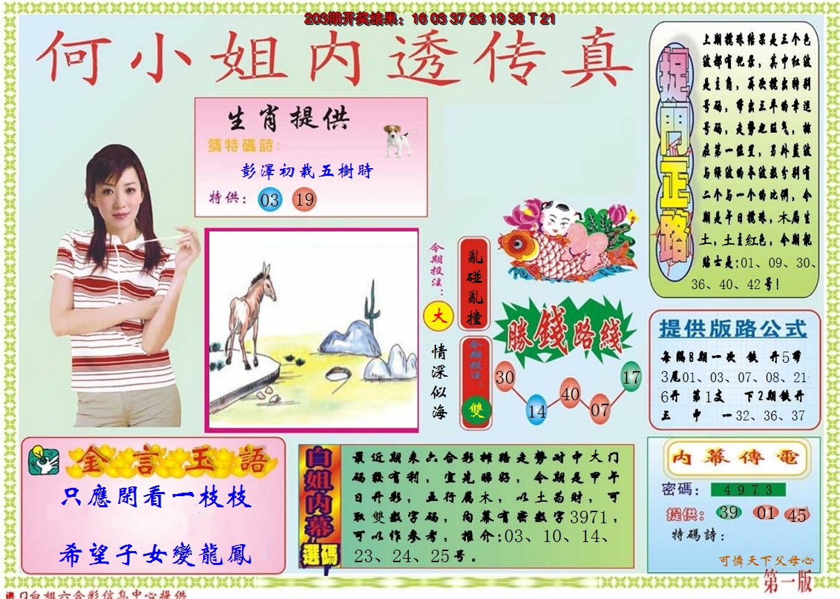 2024204期何小姐内部传真A