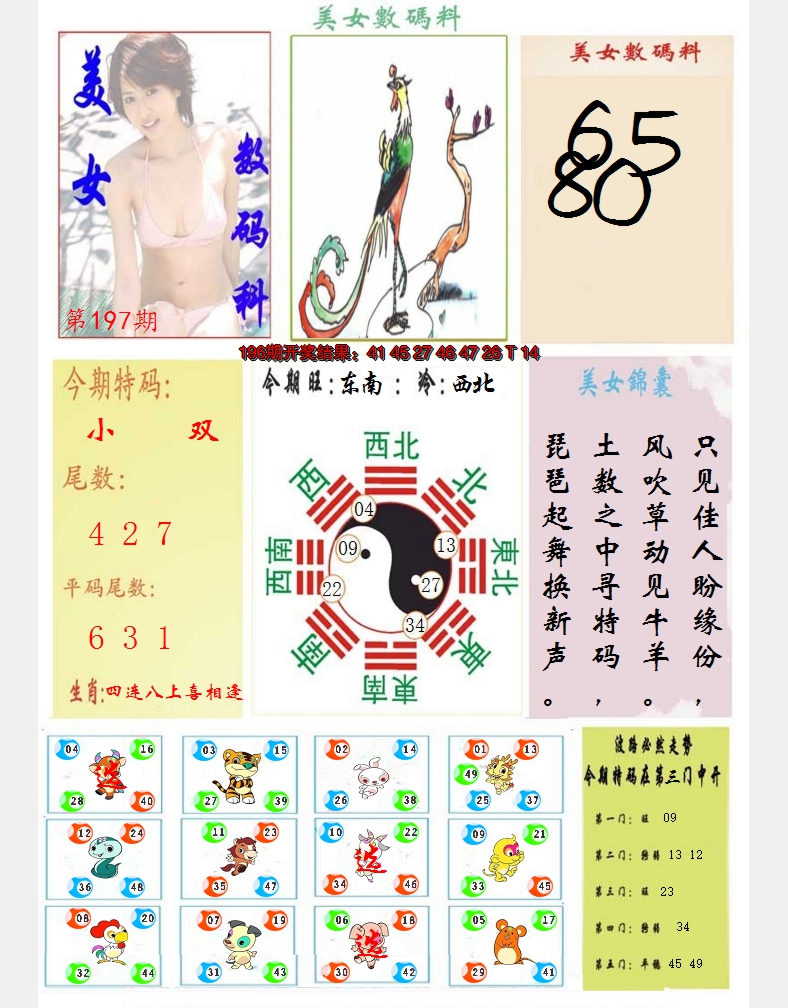 2024197期美女数码料
