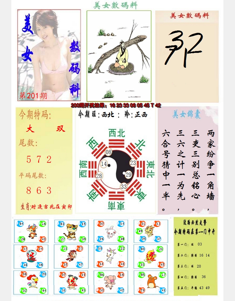 2024201期美女数码料