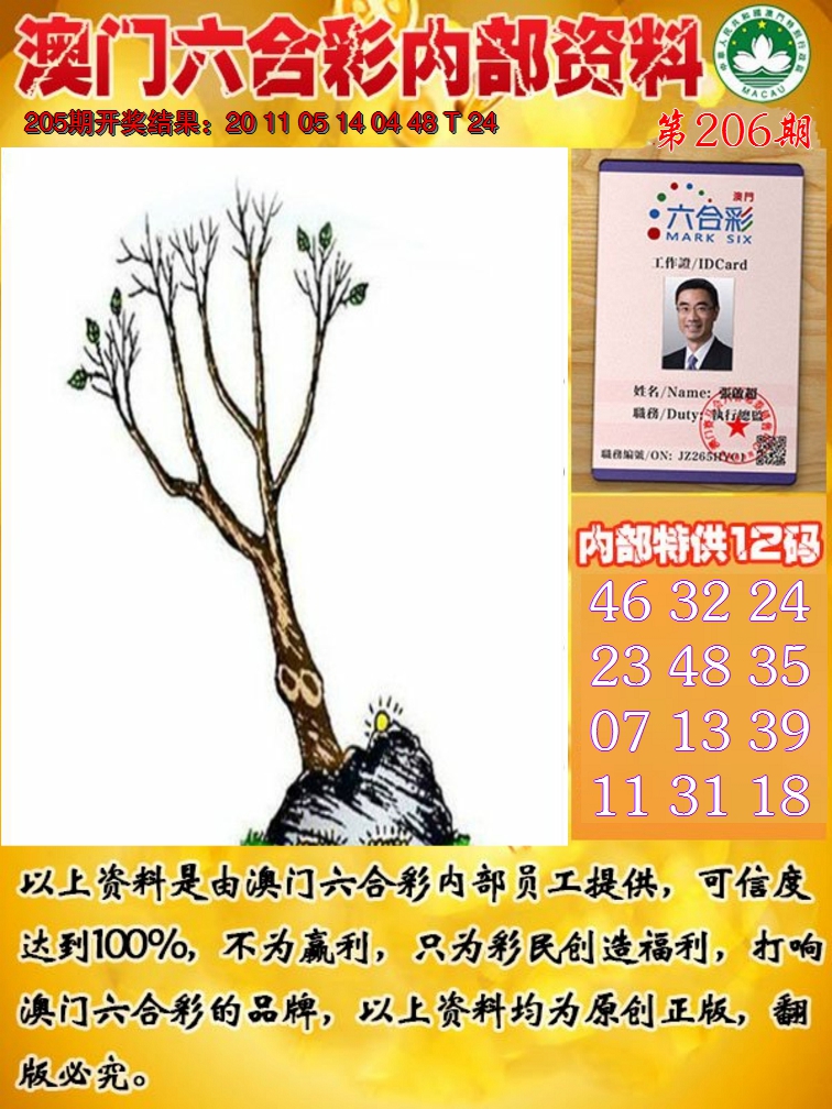 2024206期六合内部资料