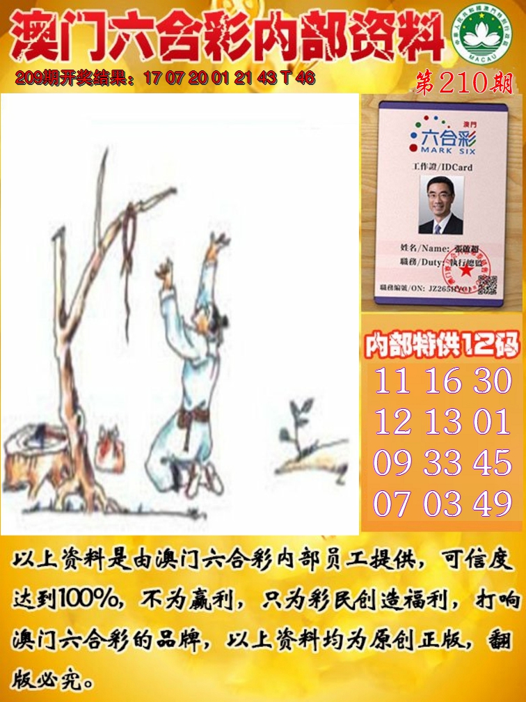 2024210期六合内部资料