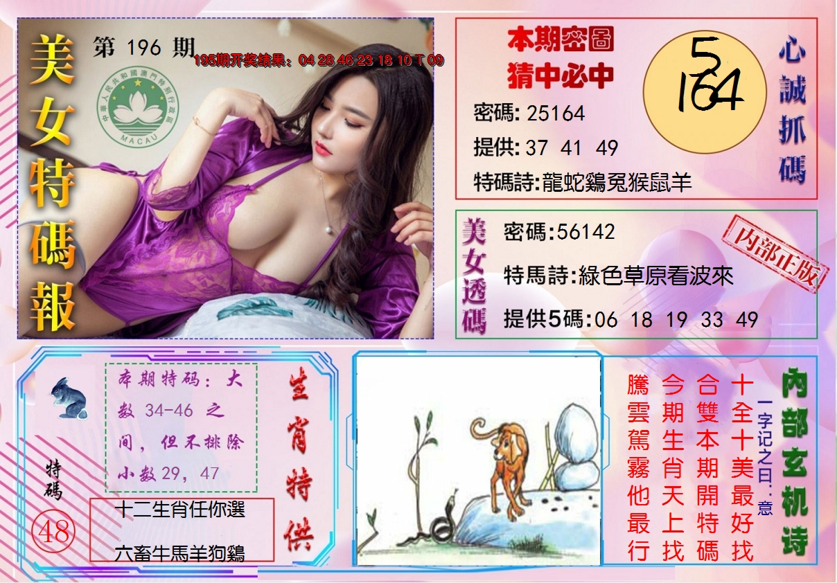 2024196期美女特码报