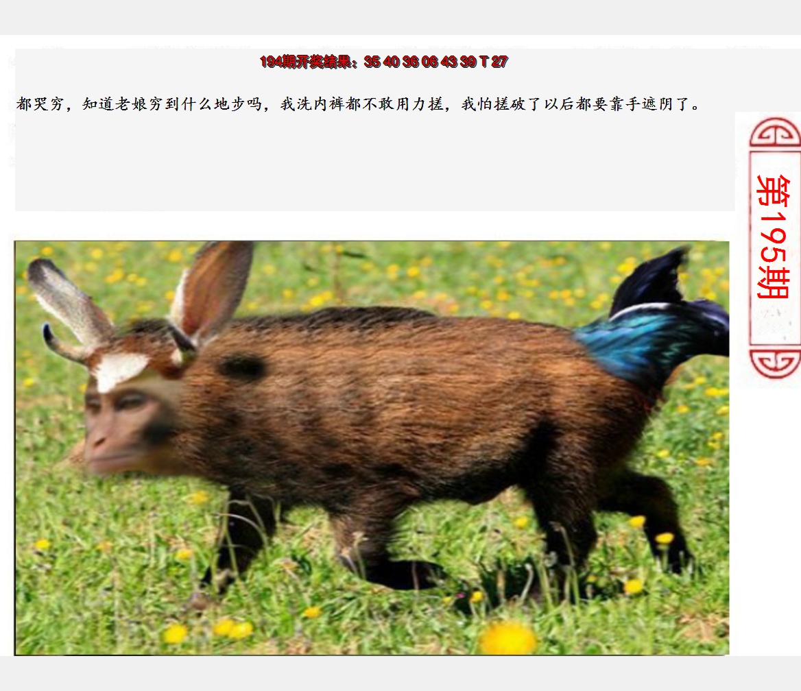 2024195期澳门生活幽默