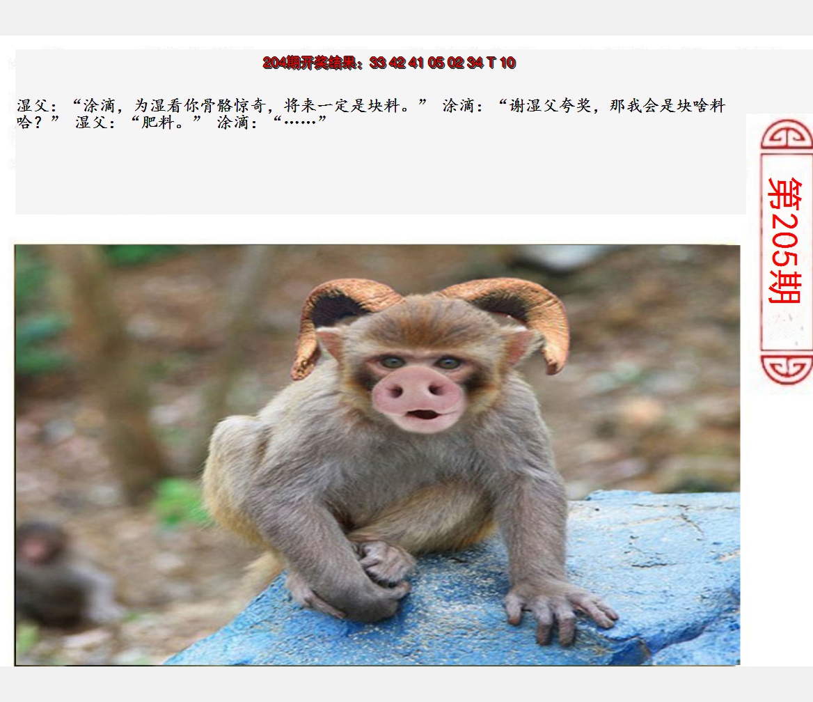 2024205期澳门生活幽默