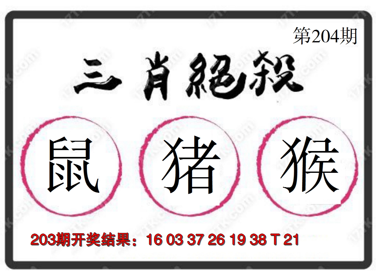 2024204期三肖绝杀