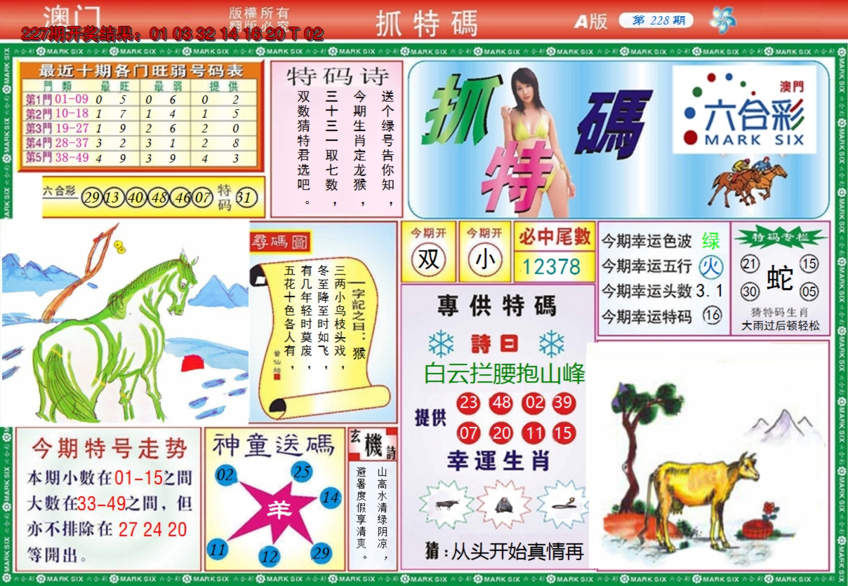 2024228期澳门抓特码A