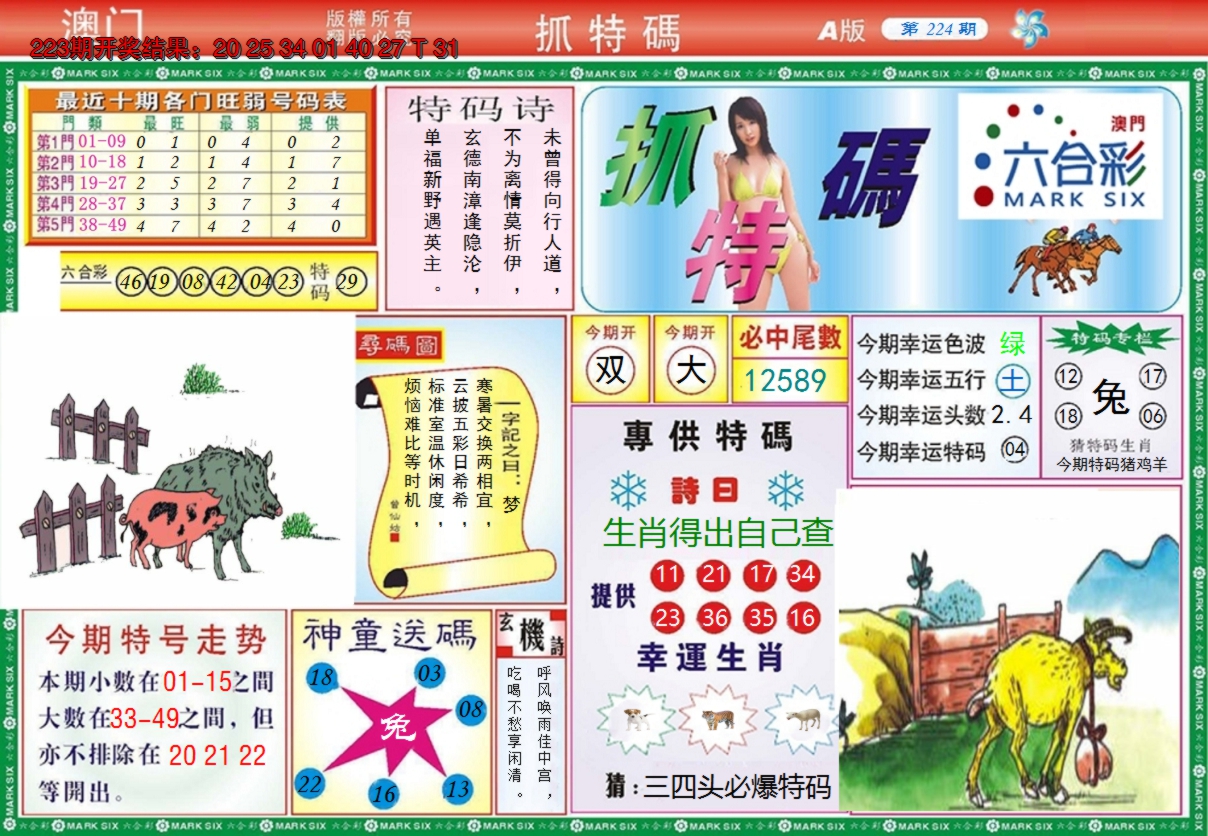 2024224期澳门抓特码A