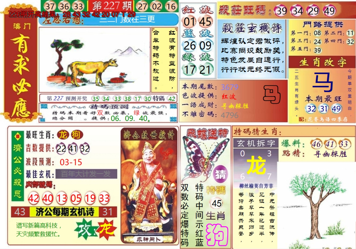 2024227期澳门有求必应
