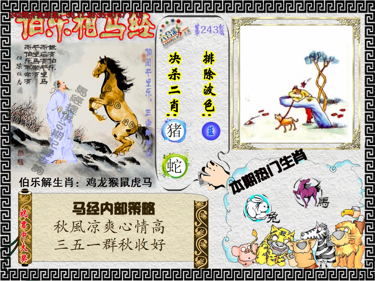 2024243期伯乐相马经