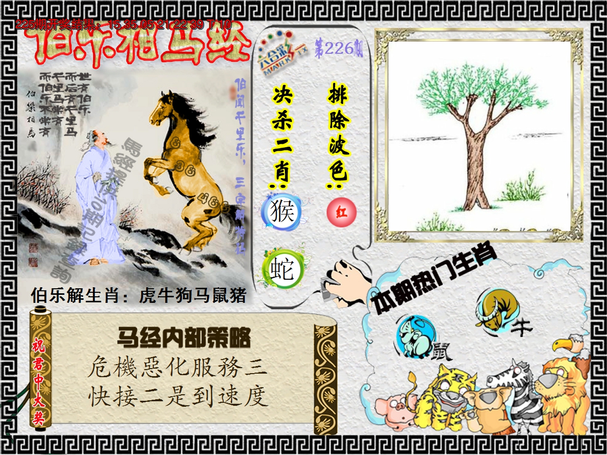 2024226期伯乐相马经