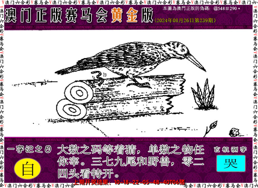 2024239期赛马会黄金版