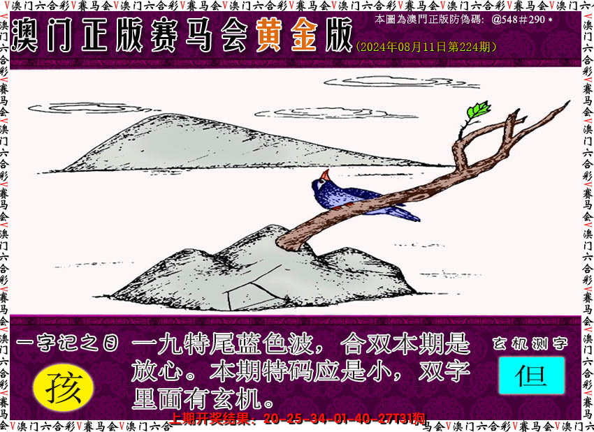 2024224期赛马会黄金版