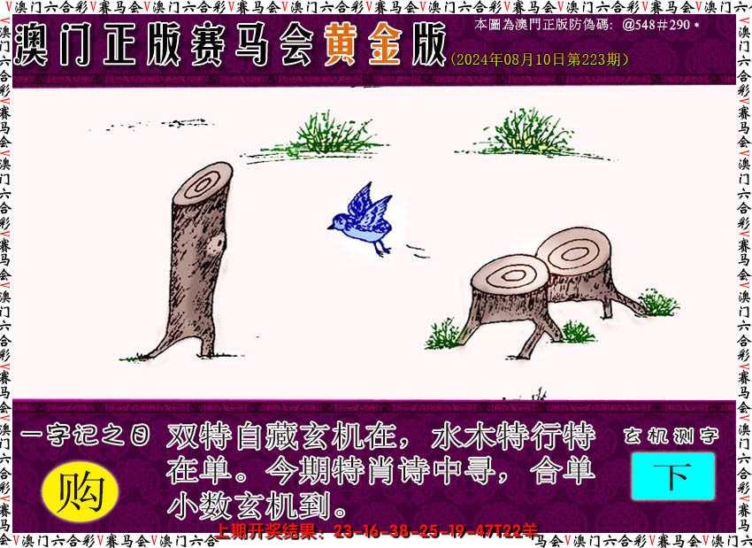 2024223期赛马会黄金版