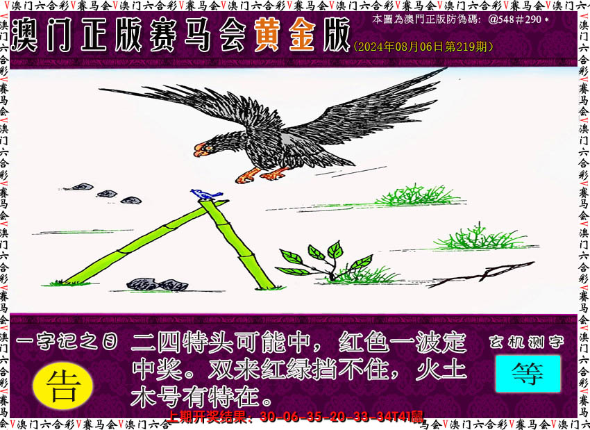 2024219期赛马会黄金版