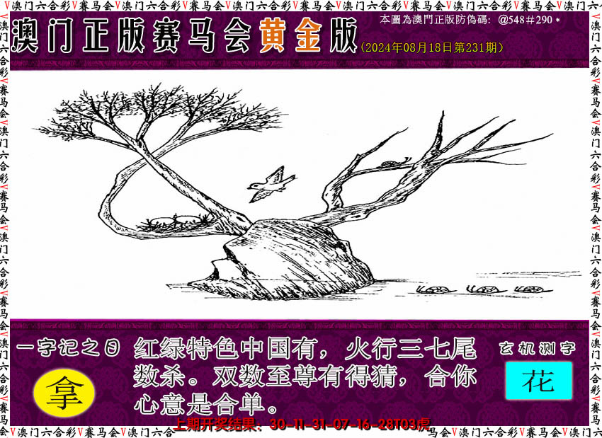 2024231期赛马会黄金版