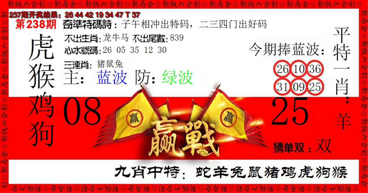 2024238期赢站