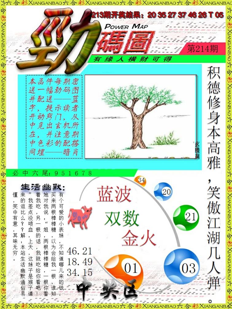 2024214期劲码图