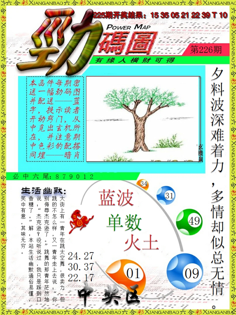 2024226期劲码图