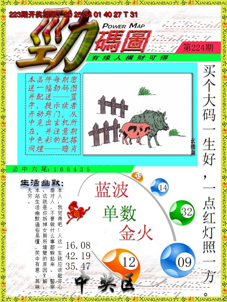 2024224期劲码图