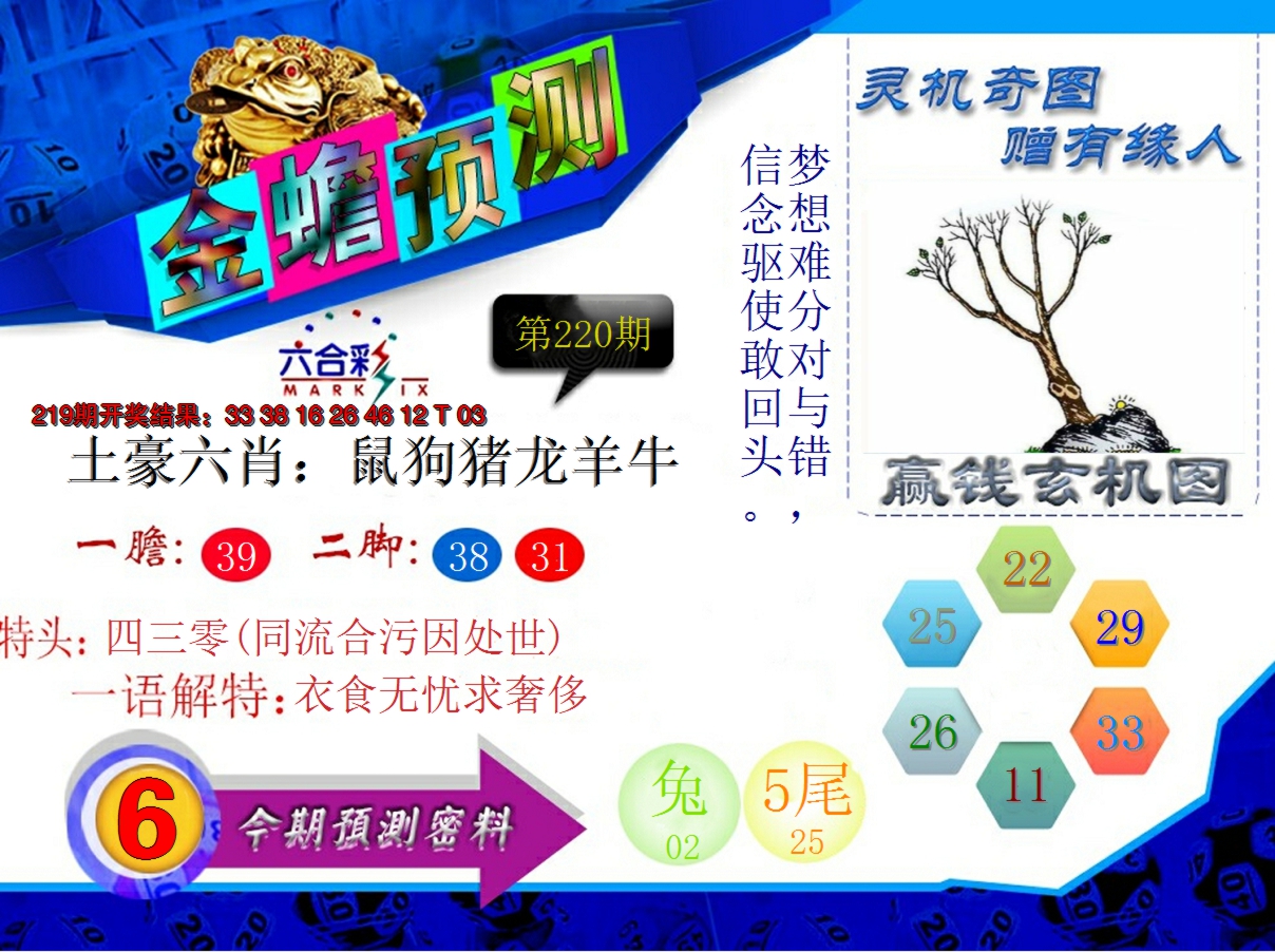 2024220期金蟾预测