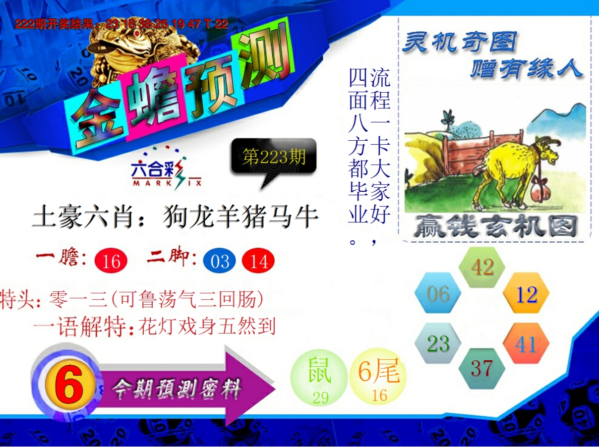 2024223期金蟾预测