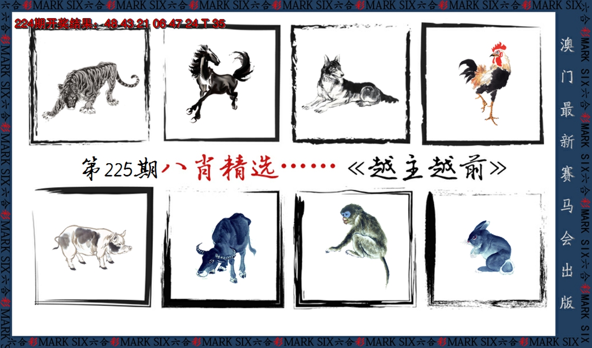 2024225期八肖精选