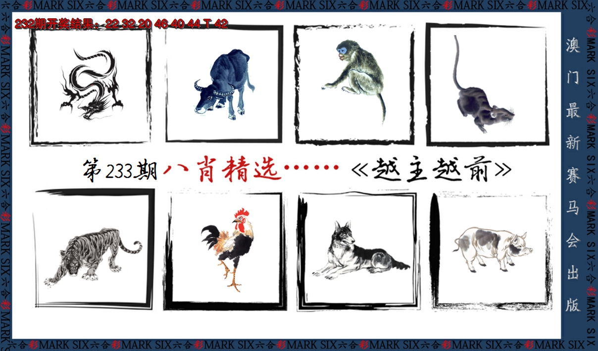 2024233期八肖精选