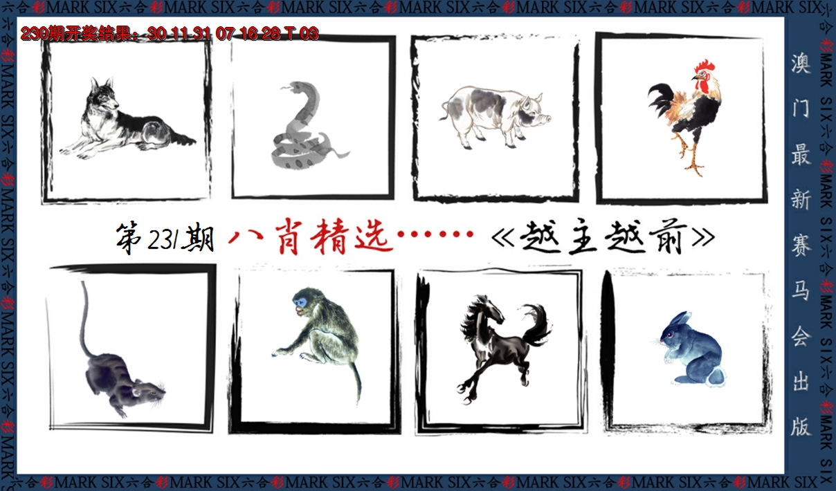 2024231期八肖精选