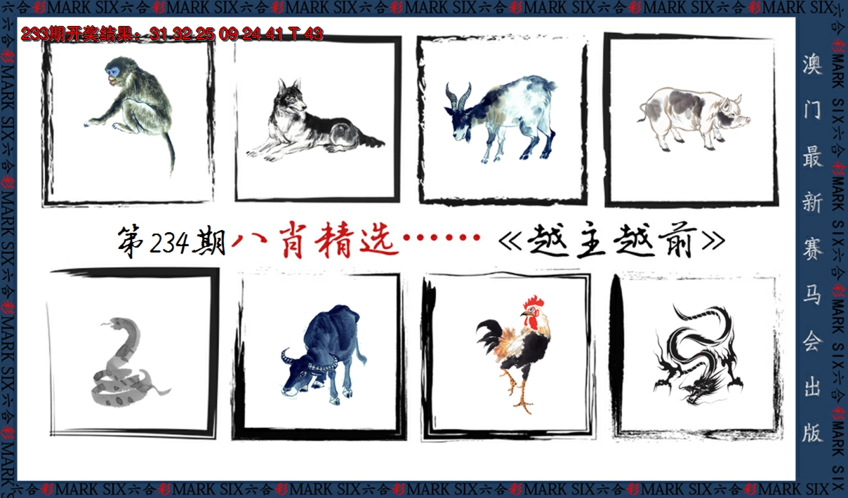 2024234期八肖精选