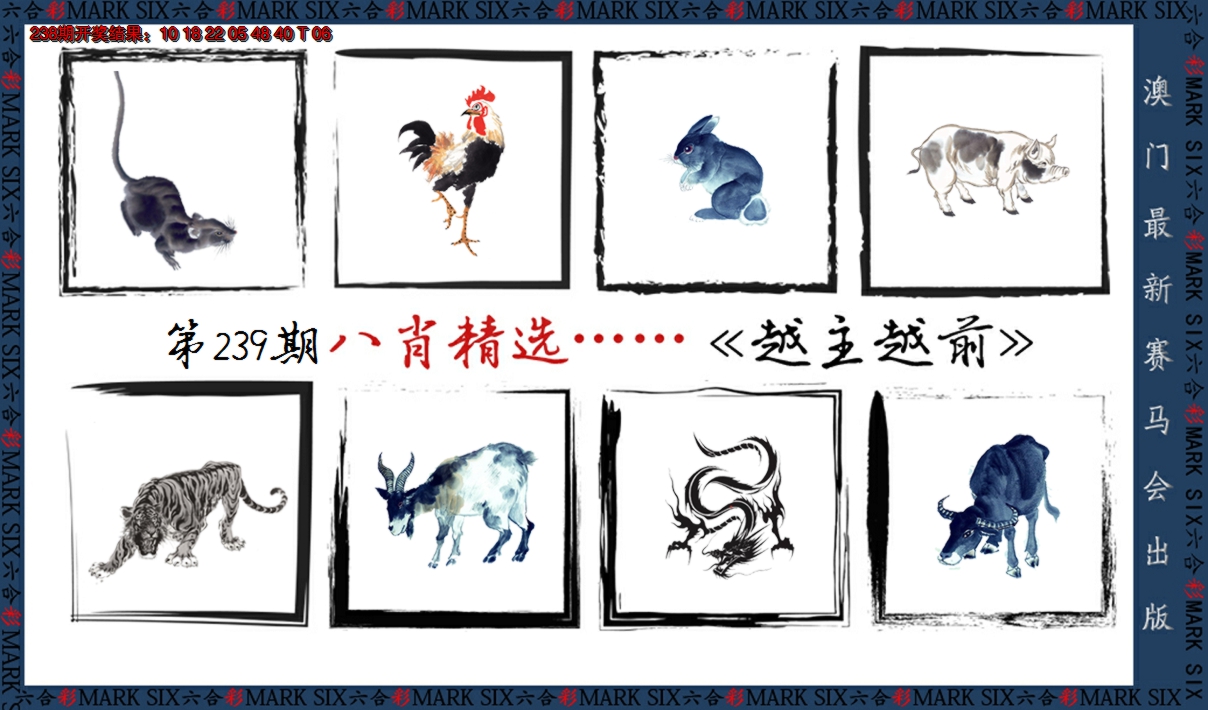2024239期八肖精选