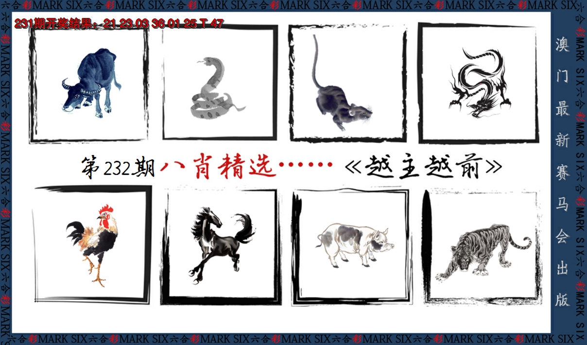 2024232期八肖精选
