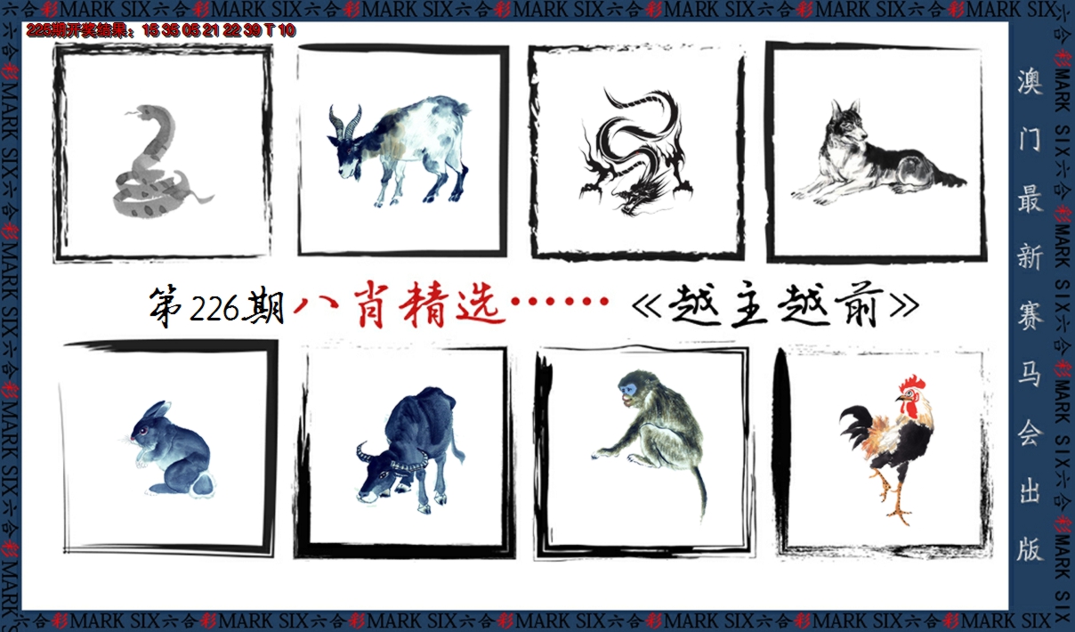 2024226期八肖精选