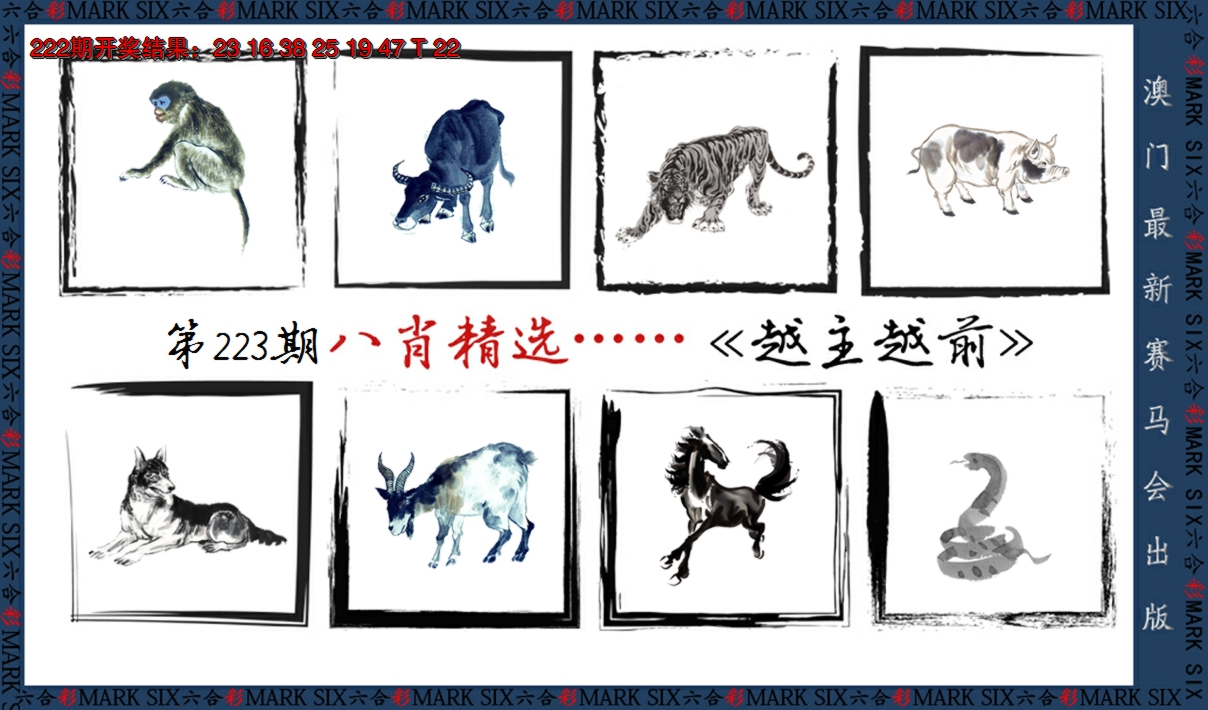 2024223期八肖精选