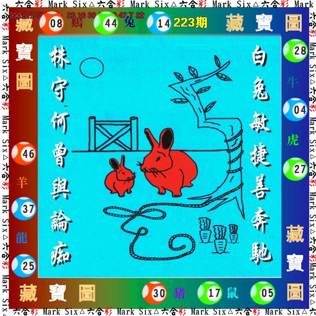 2024223期藏宝图