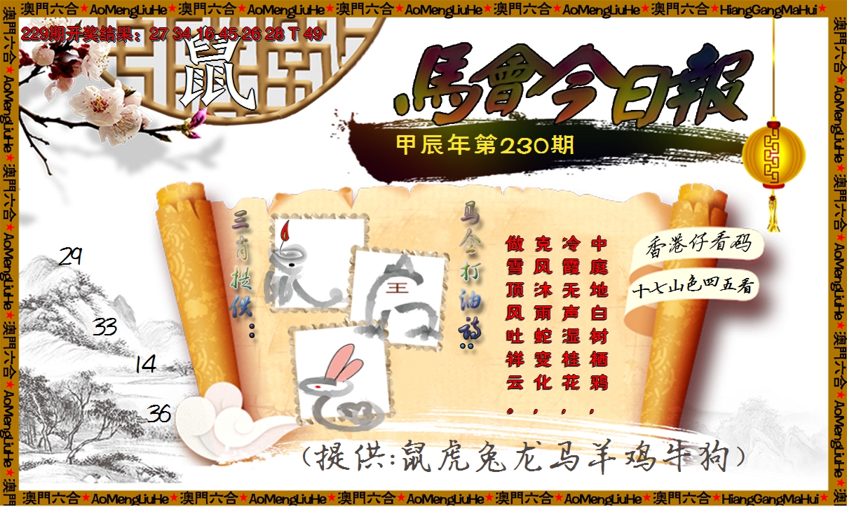 2024230期马会今日报