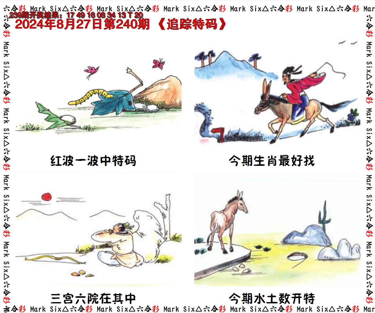 2024240期追踪特码
