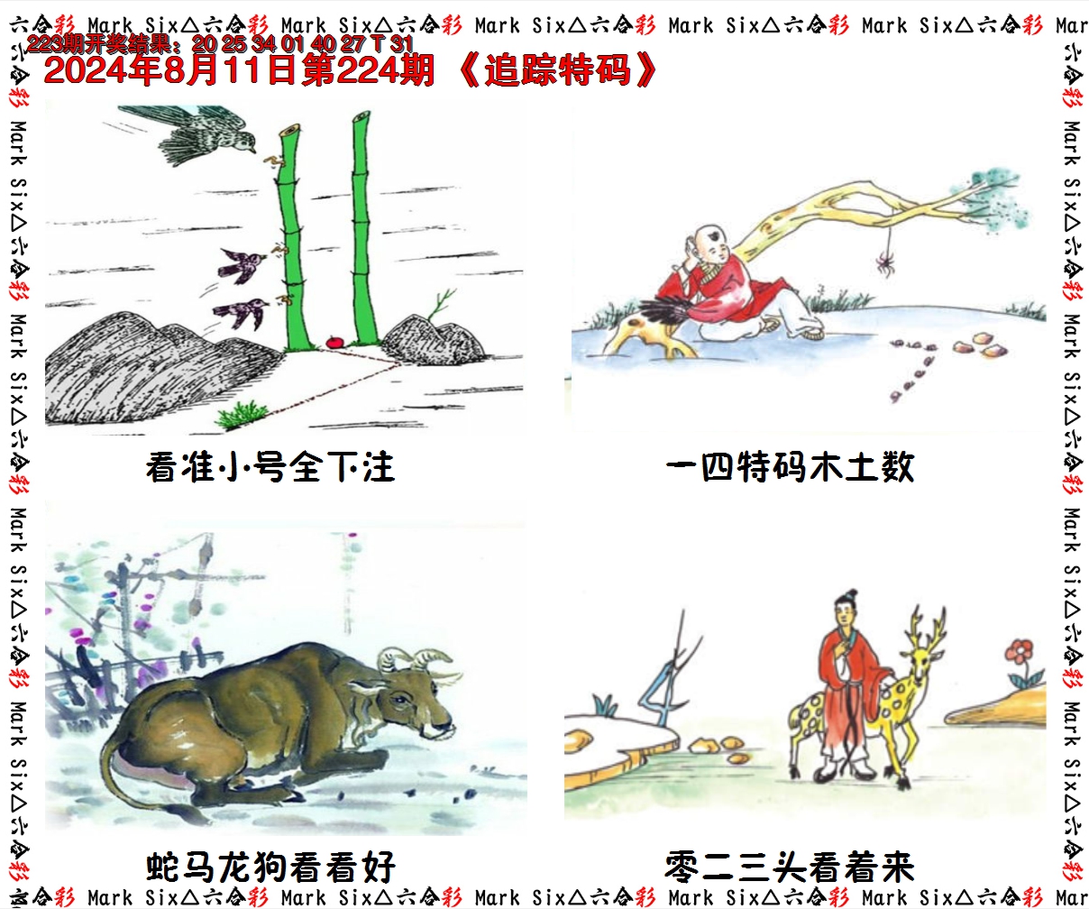 2024224期追踪特码