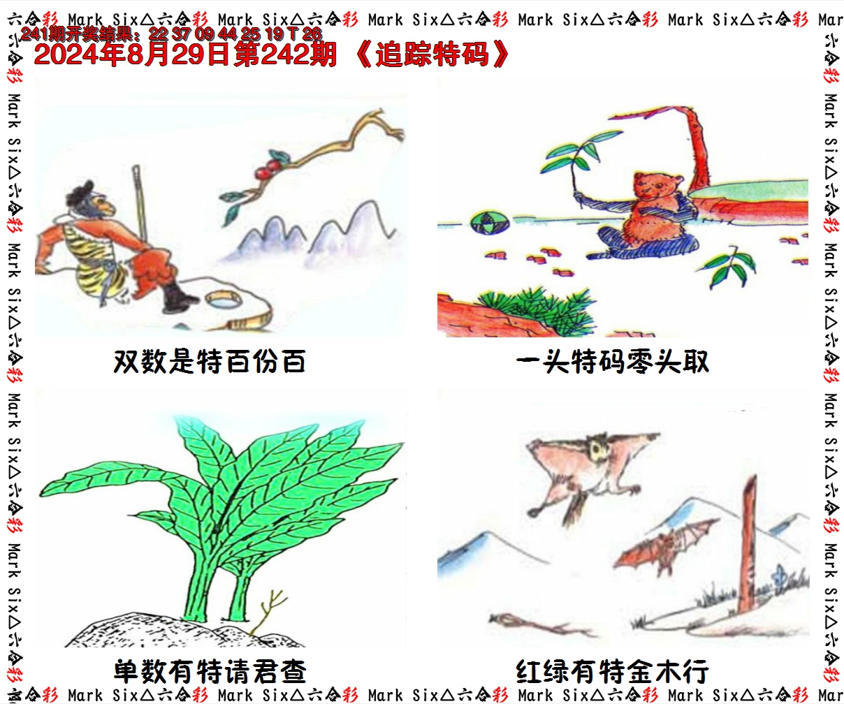 2024242期追踪特码