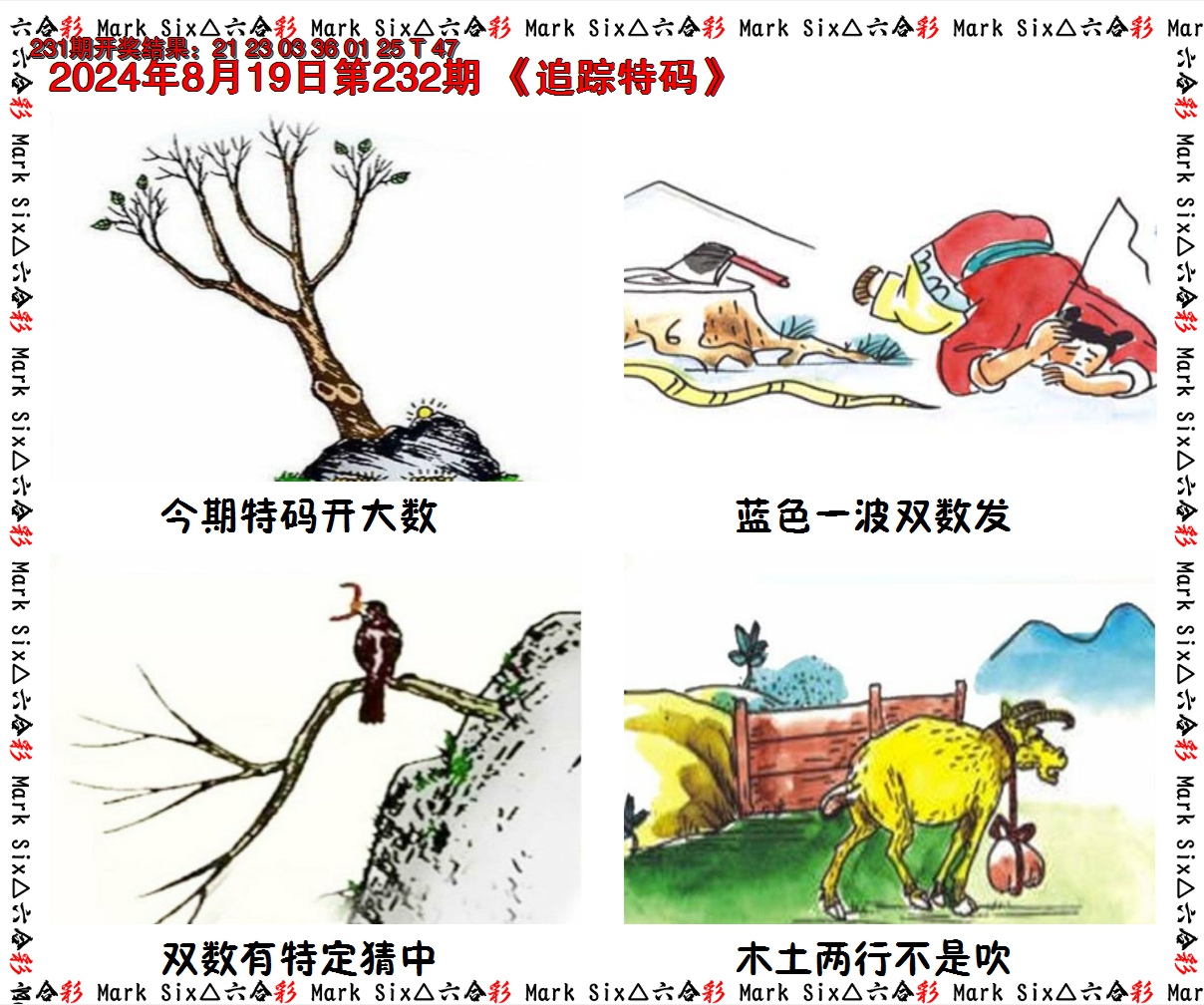 2024232期追踪特码