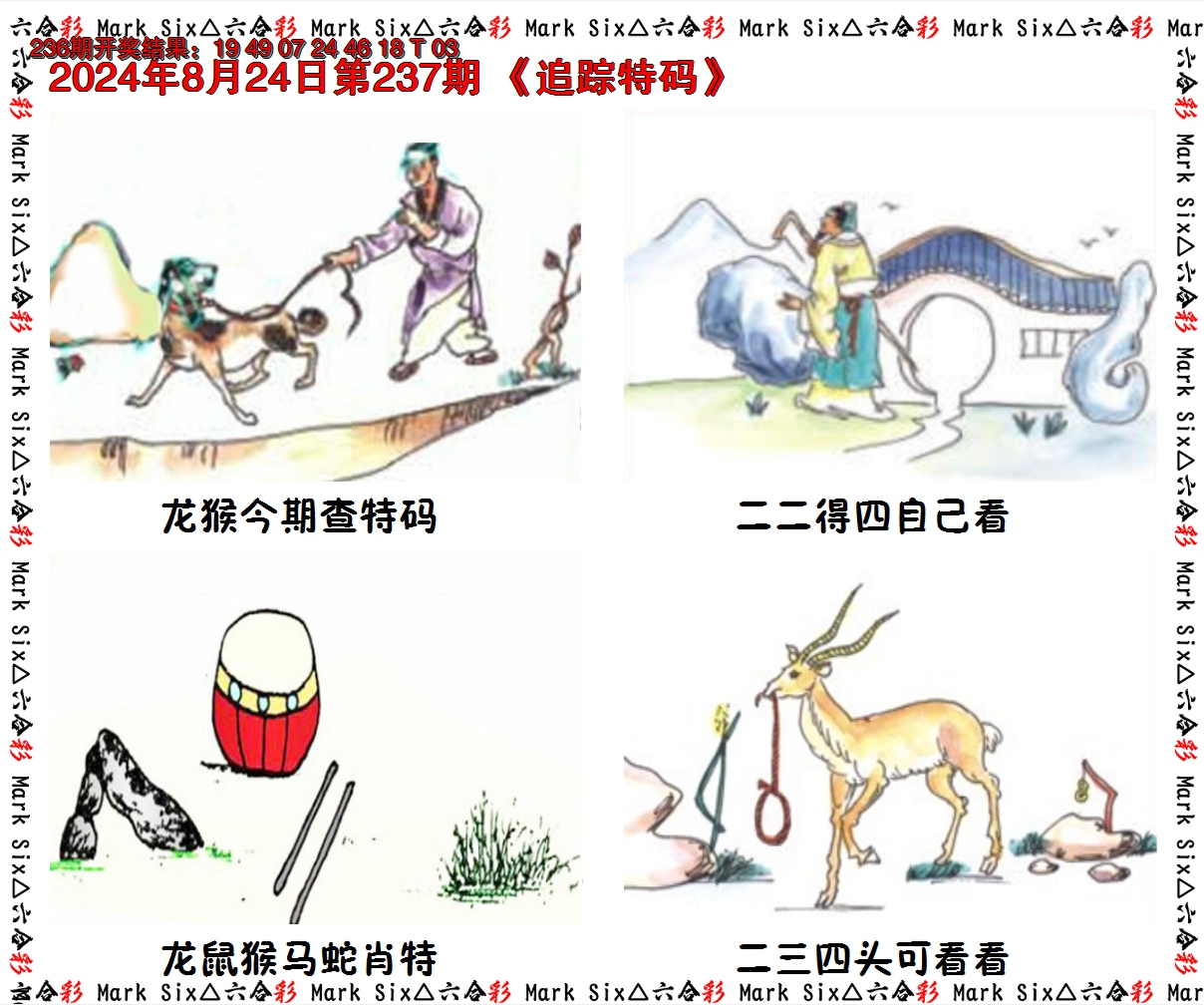 2024237期追踪特码