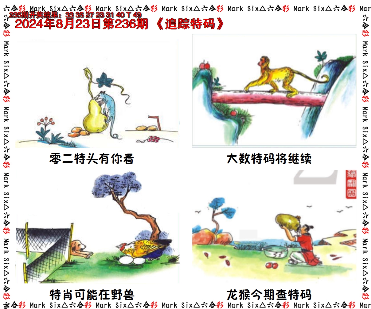 2024236期追踪特码