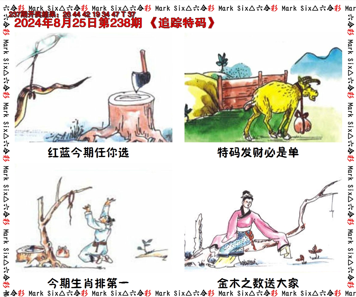 2024238期追踪特码