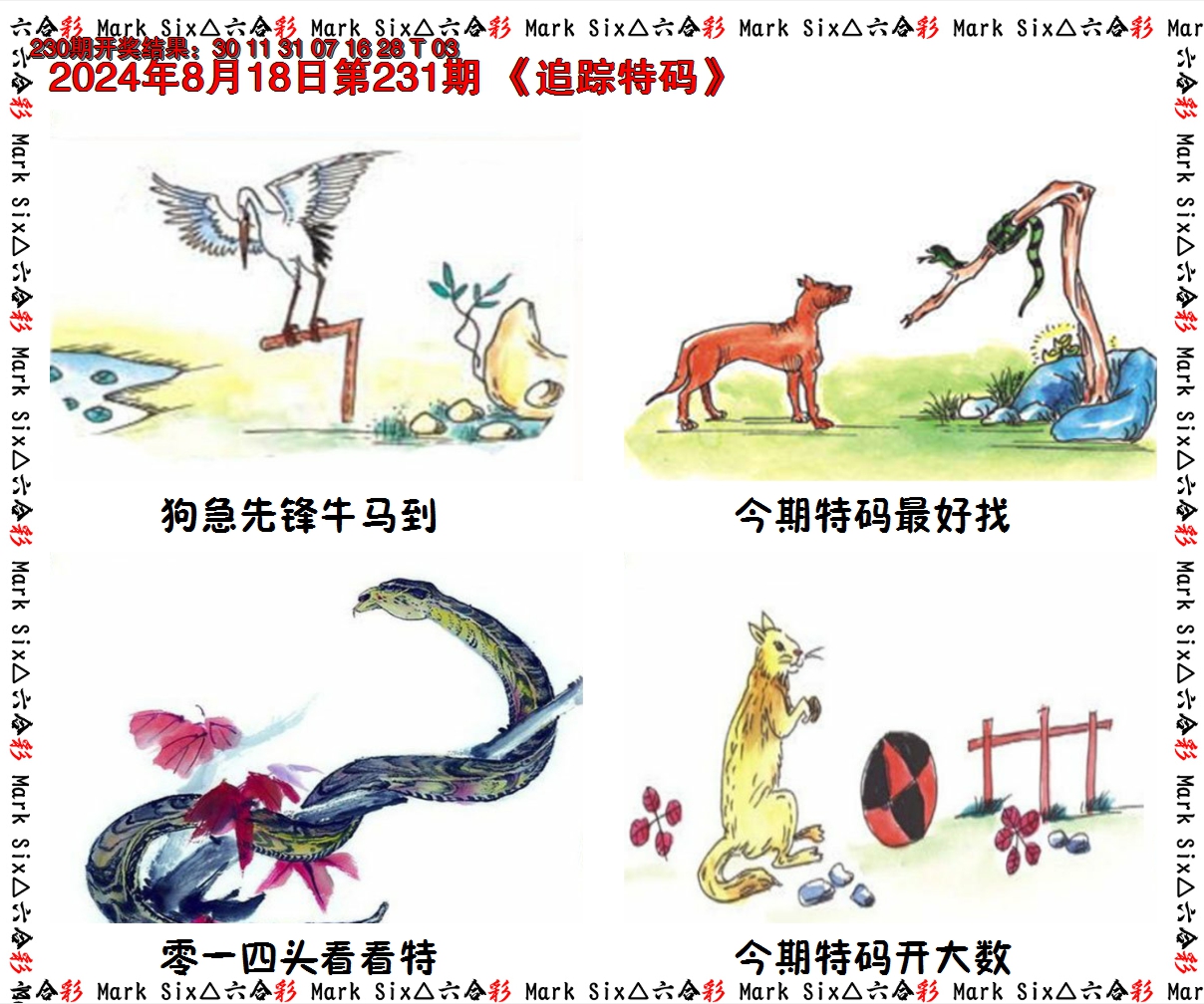 2024231期追踪特码