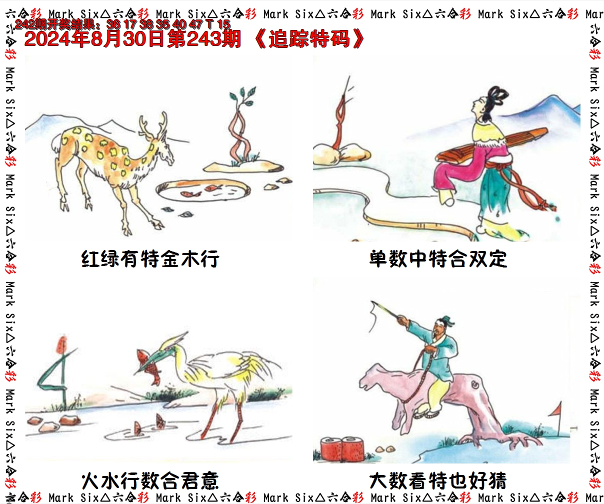 2024243期追踪特码
