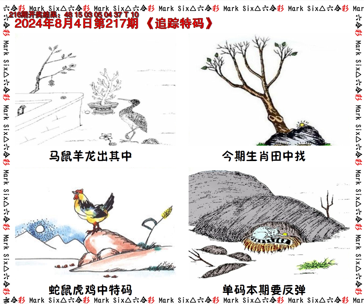 2024217期追踪特码