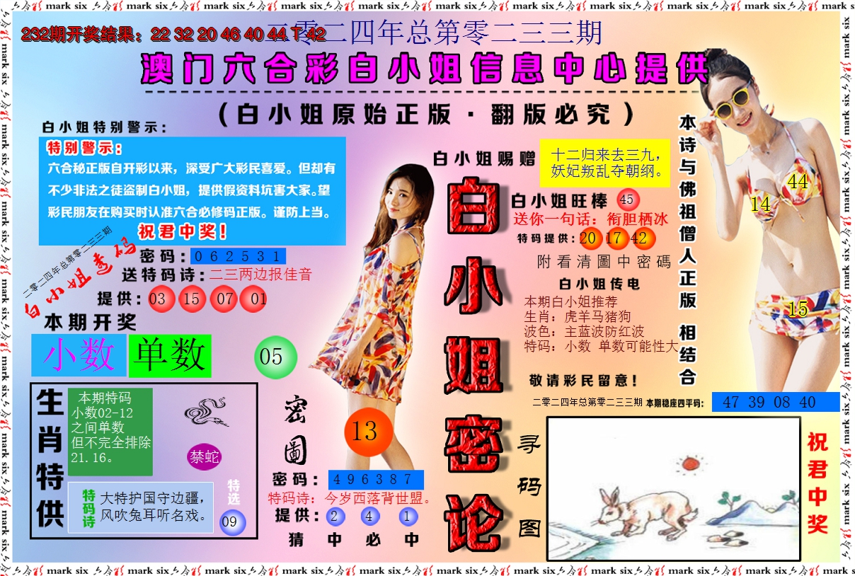 2024233期白小姐密论