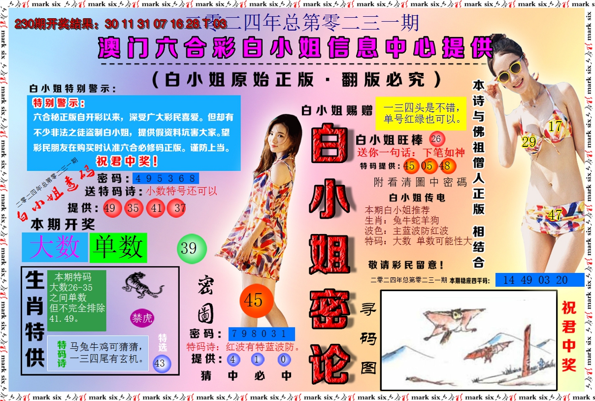 2024231期白小姐密论