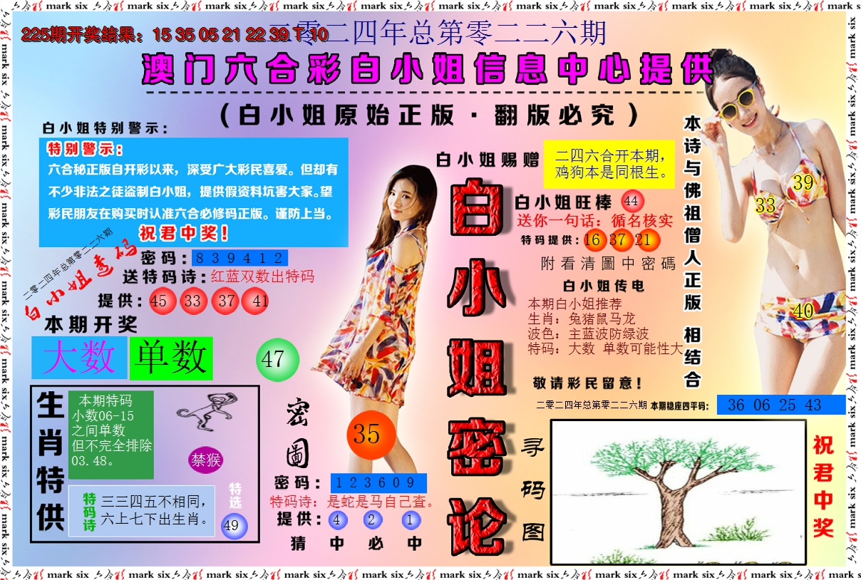 2024226期白小姐密论