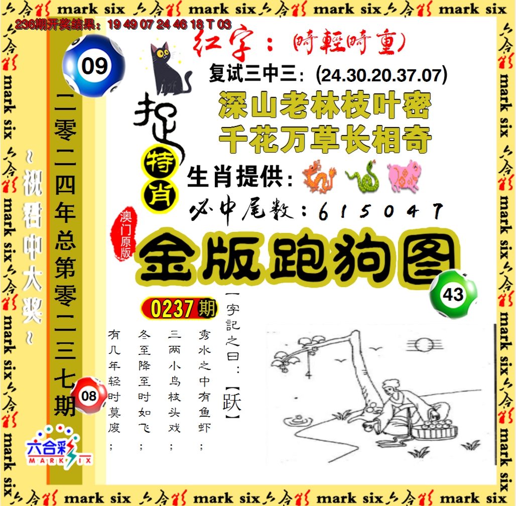 2024237期金版跑狗图