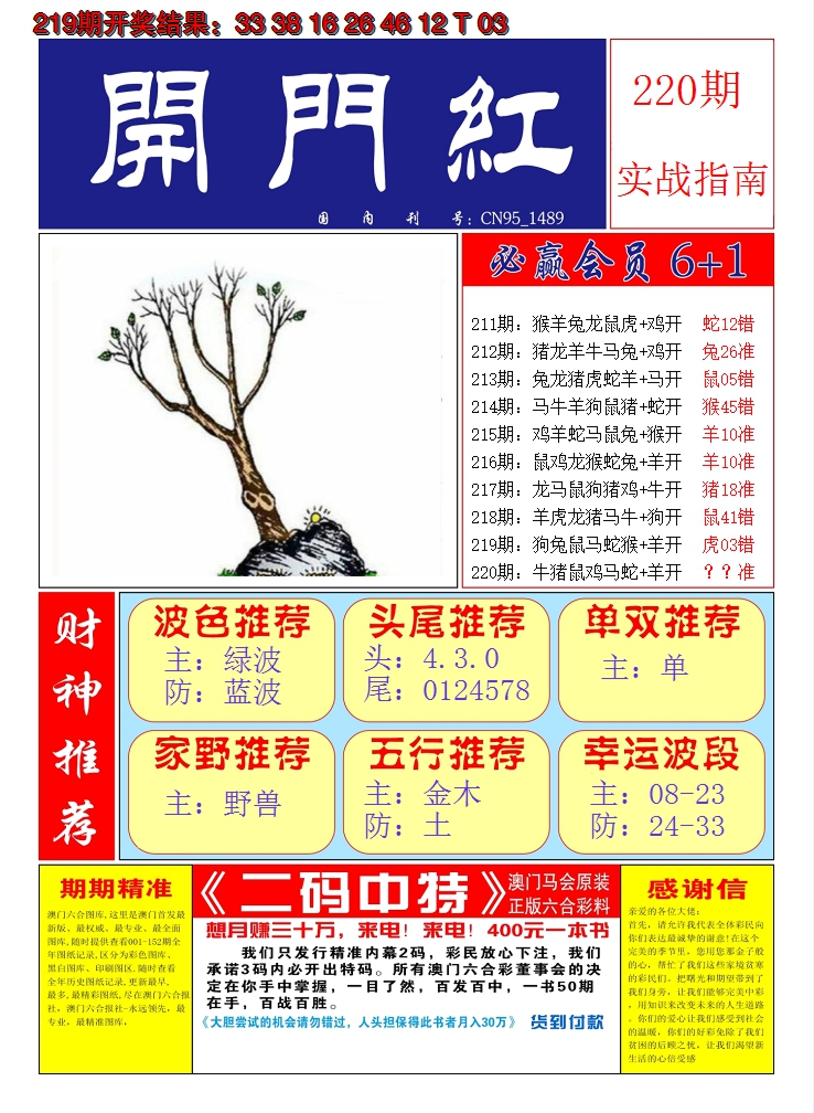 2024220期澳门开门红A